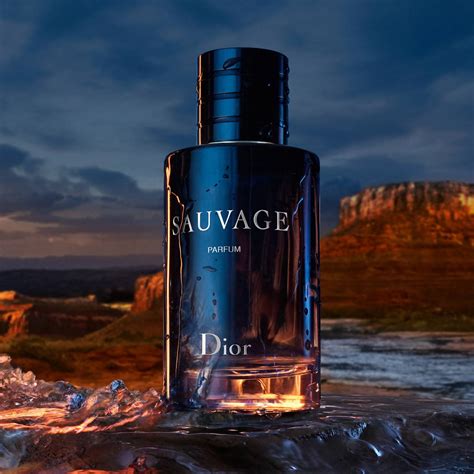 dior sauvage dp parfum|Dior Sauvage cheapest price 100ml.